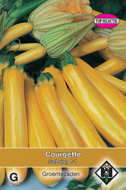 Cucurbita pepo Courgette - Yellowstar F1 Zaden van Hemert en Co