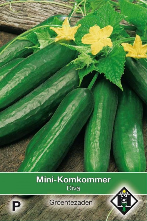 Cucumis sativus Komkommer-mini - Diva Zaden Van Hemert en Co