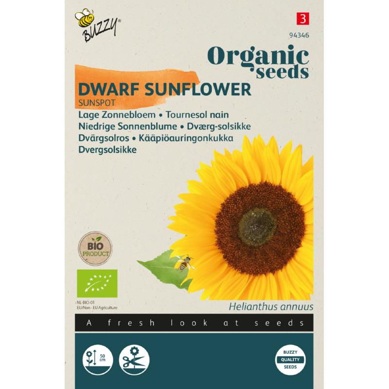 Zaden Helianthus annuus Zonnebloem Laag Sunspot Organic Seeds (Bio)