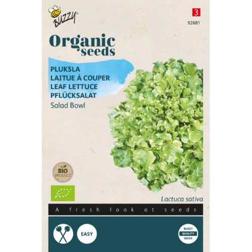 Pluksla Salad Bowl - Organic Seeds (Bio)