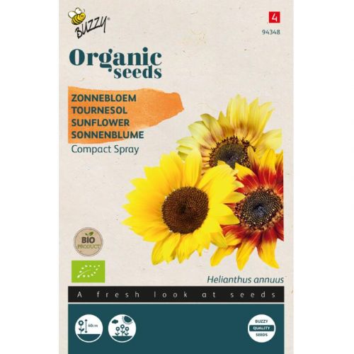 Zonnebloem Compact Spray Organic Seeds (Bio)