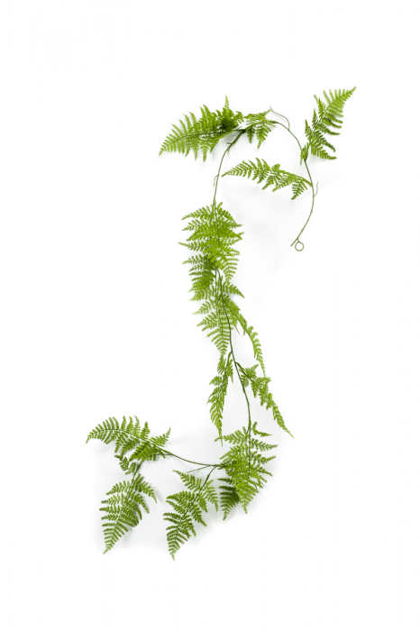 Kunstplant Slinger Hanger Asparagus H 150 cm Tuinland