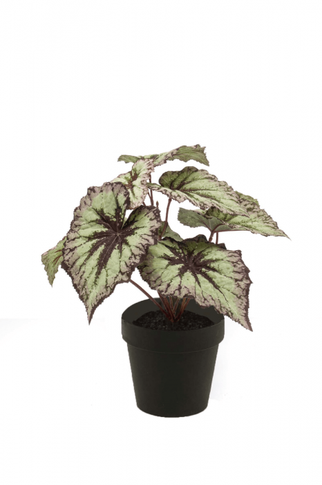 Kunstplant Begonia