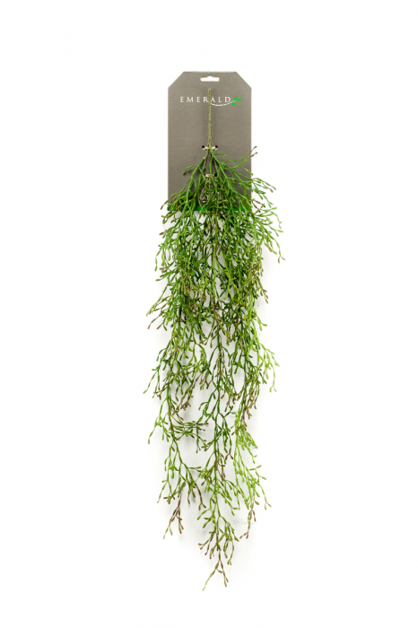 Kunstplant Hangplant Rhipsalis H 90 cm Tuinland