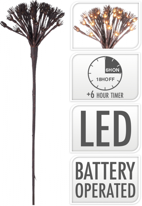 Berenklauw Ledverlichting LED - Bruin