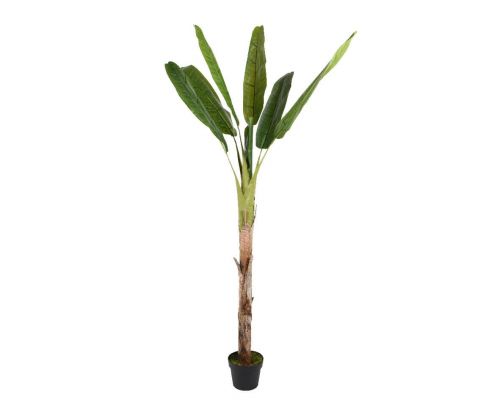 Decoris Kunst Bananenplant in pot H 180 cm Tuinland