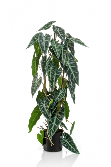 Kunstplant Alocasia H 75 cm Tuinland