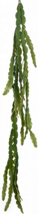 Kunst Hangplant Epiphyllum Zaagcactus