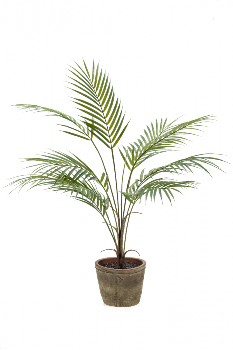 Kunstplant Palm H 85 cm Tuinland