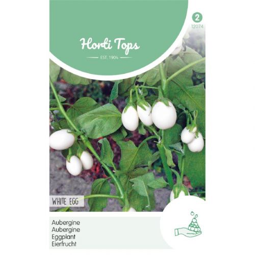 Solanum melongena Aubergine - White Eggs Zaden