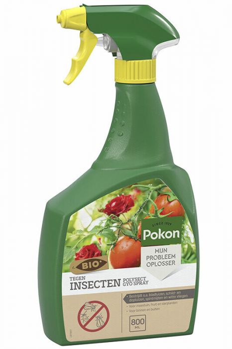 Pokon Tegen Insecten Polysect GYO Spray 800 ml