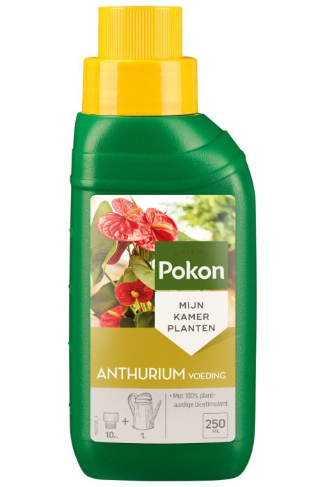 Pokon Anthurium Voeding 250 ml voorkant