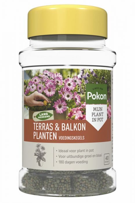 Pokon-Terras-&-Balkon-Planten-Voedingskegels-8711969004511_Tuinland