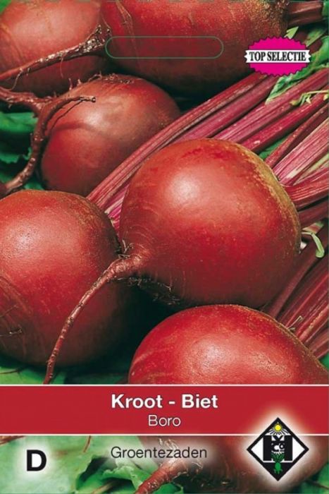 Beta vilgaris Biet - Kroot - Boro Rode bieten Groente zaden Van Hemert en Co