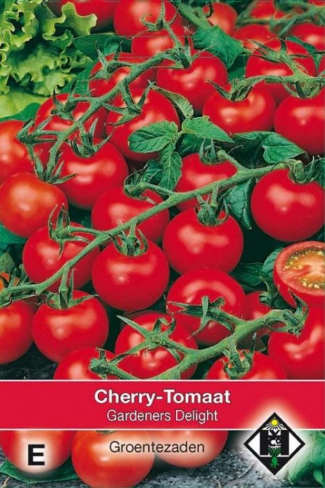 Lycopersicon esculentum Cherry-Tomaat - Gardeners Delight Zaden Van Hemert en Co