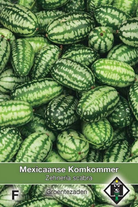 Mexicaanse komkommer Zehneria scabra Cucamelon Muismeloen Zaden Van Hemert en Co