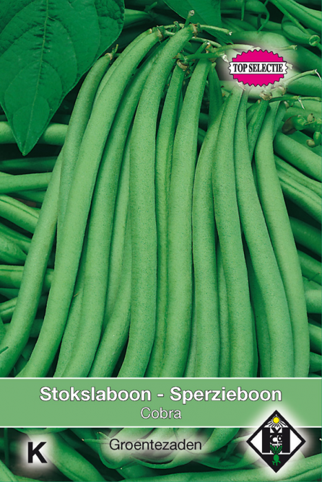 Phaseolus vulgaris Stokslaboon - Cobra Zaden Van Hemert en Co